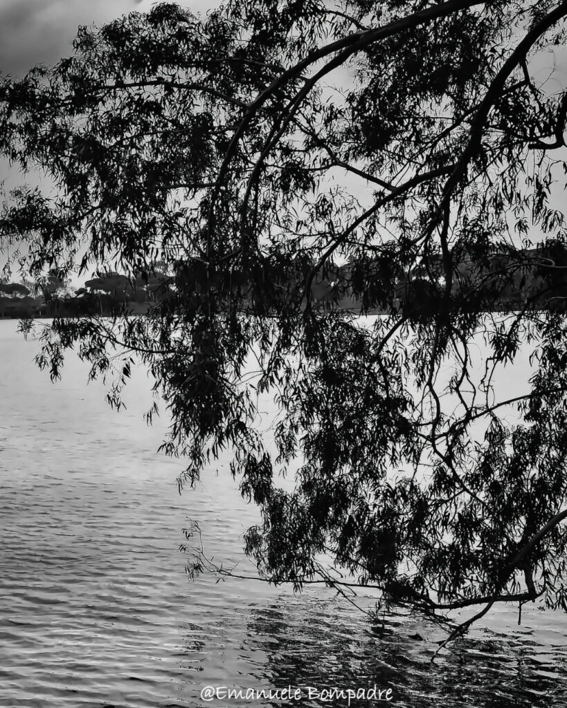 L’Oasi di Porto a Fiumicino: un viaggio tra natura, storia e silenzi d’acqua