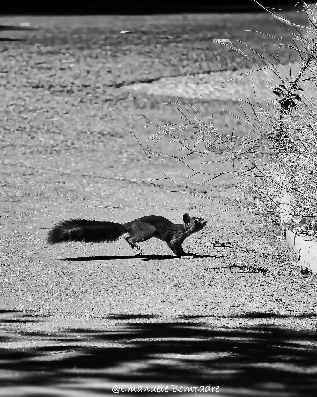 Bioparco di Roma: lo scatto perfetto ti aspetta dietro l’angolo
